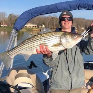 Meet your Posher, Thomas